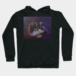 Kitty Hoodie